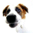 pigna's Avatar